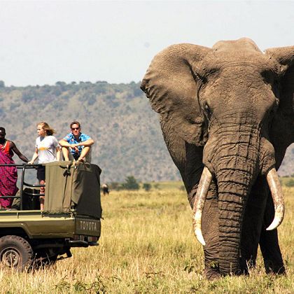 Luxury Tanzania Safari Tours & Adventures — Wander Africa