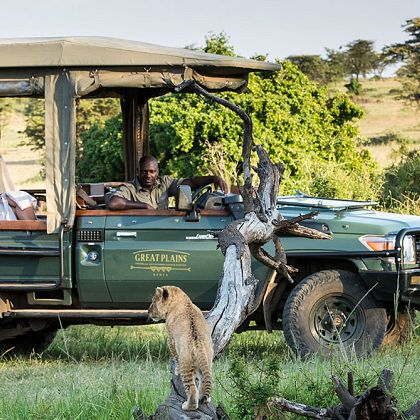 The Safari Store on X: Plan the year in adventures, starting with