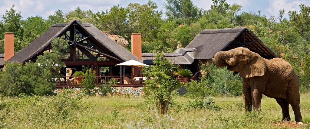 South Africa Safari Package: City and Safari - Mateya Safari Lodge ...