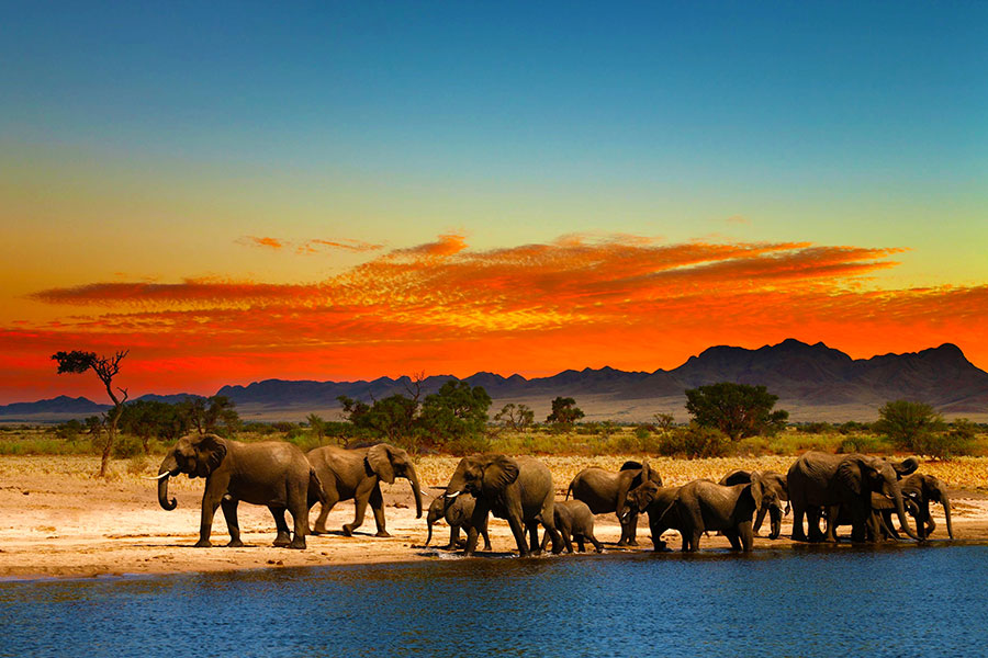 All Inclusive Vacations in Africa What's Included on Safari?