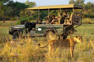 Safari in Africa - Chindeni Bushcamp, Zambia - Ultimate Wildlife Safari, Big 5 Safari