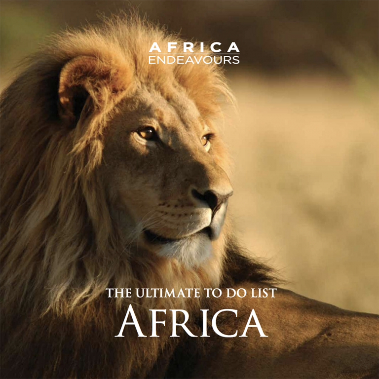 african-safari-travel-brochure-luxury-travel-agents-africa-endeavours ...