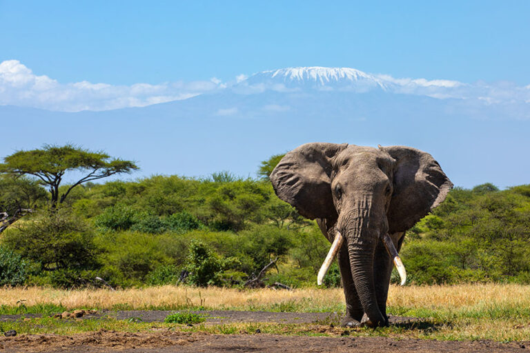 Great Plains Conservation Itineraries and Experiences - Africa Endeavours